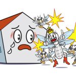 隣の空き家に困っています。近隣の空き家が原因のシロアリ被害とその対策
