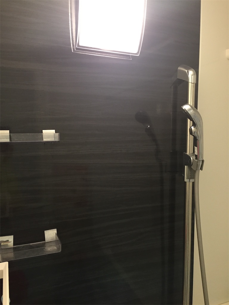 f:id:nemikky:20190331232305j:image