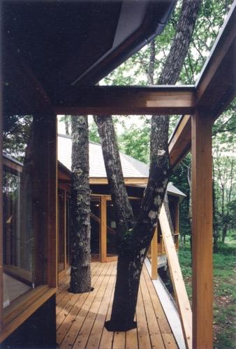 ＜ふたつのドーム状空間からなる、国産の産直木材の家＞建六庵の写真1