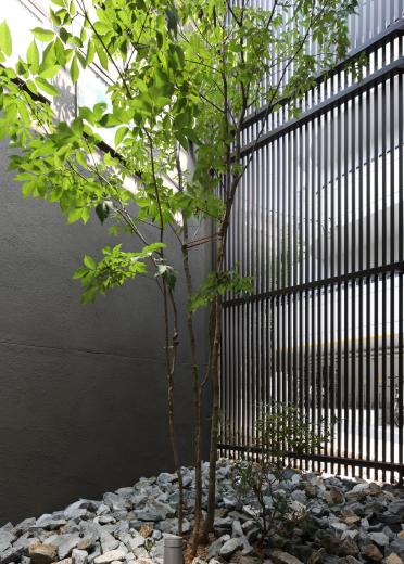 レモン坂の家-中庭を囲むスキップフロア-の写真6