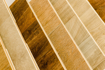 240_F_81298526_1XxJXDhnS4C7AyWBTKegdtfjh3bgpeFh