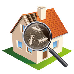 240_F_62734708_8azYUATRm1jJbmvbZpmf2RMF4WH8BKzA