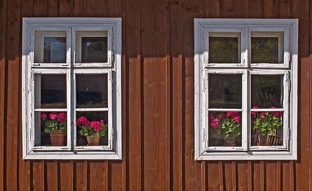 the-window-429813_640